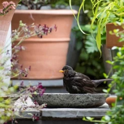 Turned Green Marble Bird Bowl 13 Turned Green Marble Bird Bowl -Perennials Sales pr2000037502 card5 lg