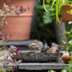 Turned Green Marble Bird Bowl 15 Turned Green Marble Bird Bowl -Perennials Sales pr2000037502 card7 lg