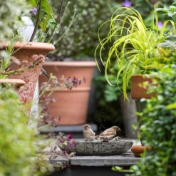 Turned Green Marble Bird Bowl 17 Turned Green Marble Bird Bowl -Perennials Sales pr2000037502 card9 lg