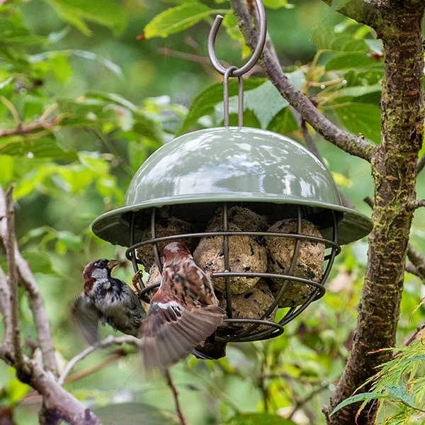 Birdie Fat Snax Feeder - Crocus Green 2 Birdie Fat Snax Feeder - Crocus Green - Image 2