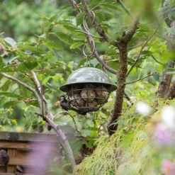 Birdie Fat Snax Feeder - Crocus Green 8 Birdie Fat Snax Feeder - Crocus Green -Perennials Sales pr2000037554 card3 lg