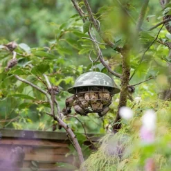 Birdie Fat Snax Feeder - Crocus Green 11 Birdie Fat Snax Feeder - Crocus Green -Perennials Sales pr2000037554 card6 lg