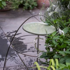 Plant Support With Bird Bowl - Crocus Green -Perennials Sales pr2000037555 card4 lg