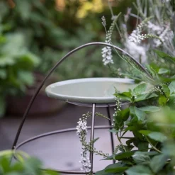 Plant Support With Bird Bowl - Crocus Green -Perennials Sales pr2000037555 card5 lg