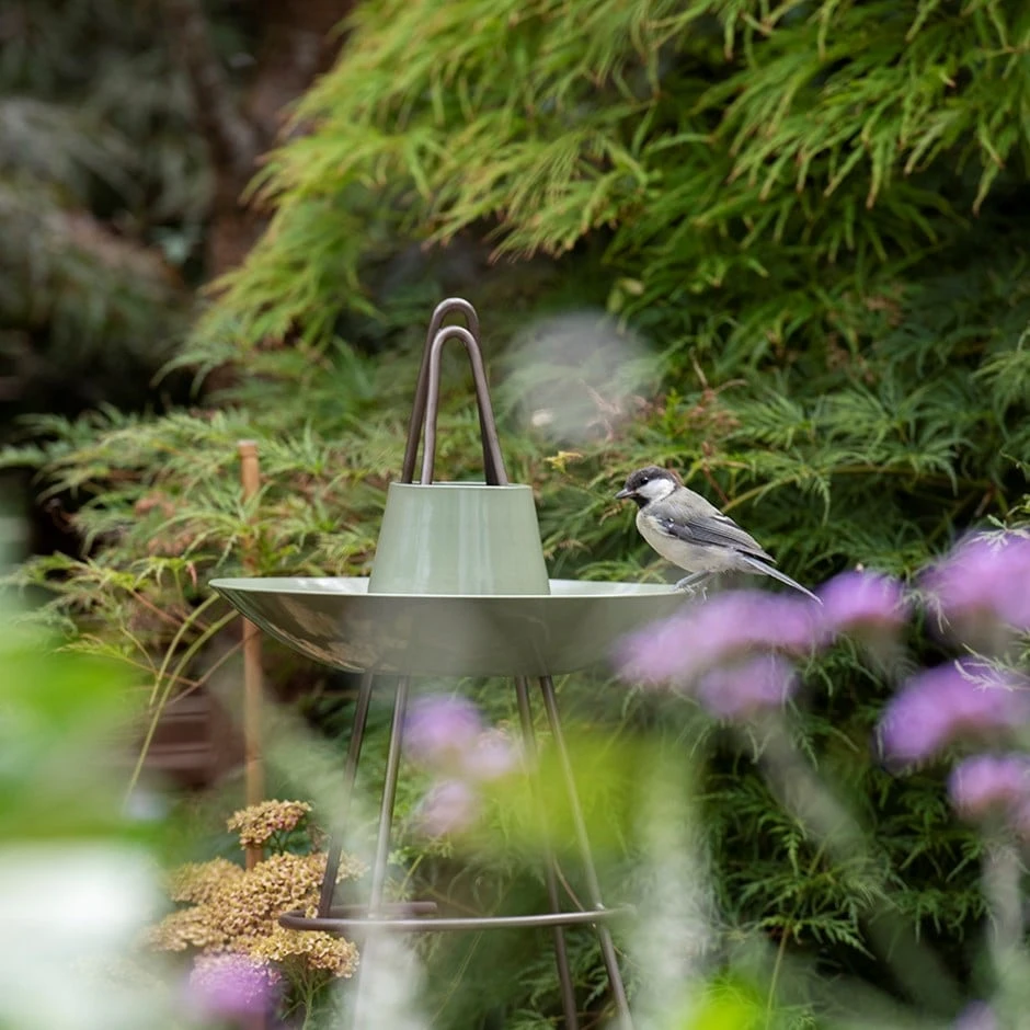 Sweet Pea Obelisk With Bird Bowl - Crocus Green 1 Sweet Pea Obelisk With Bird Bowl - Crocus Green
