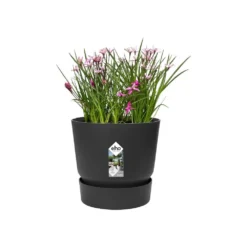 Greenville Round Pot Black 6 Greenville Round Pot Black -Perennials Sales pr2000038224 card3 lg