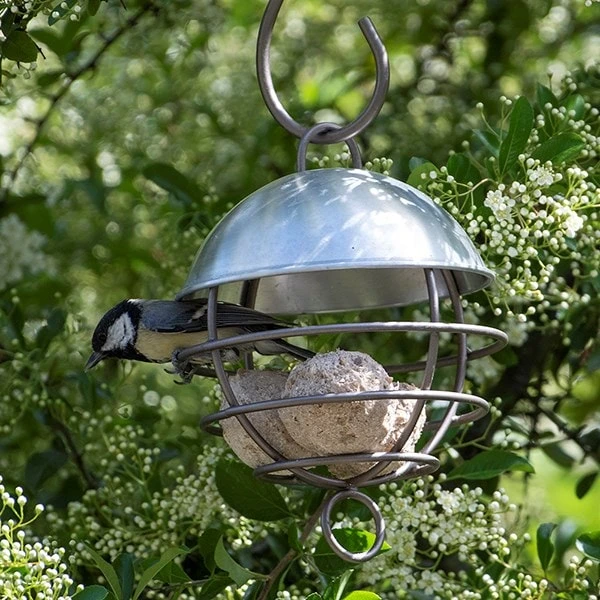 Brushed Aluminium Satellite Fat Ball Feeder 4 Brushed Aluminium Satellite Fat Ball Feeder - Image 4