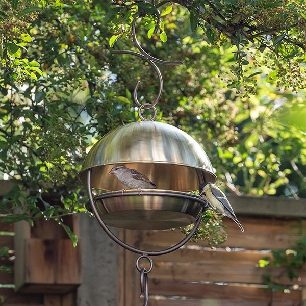 Brushed Brass Hanging Bird Feeding Dome 2 Brushed Brass Hanging Bird Feeding Dome - Image 2