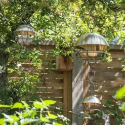 Brushed Brass Hanging Bird Feeding Dome 7 Brushed Brass Hanging Bird Feeding Dome -Perennials Sales pr2000040684 card3 lg