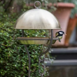 Brushed Brass Stake Bird Feeding Dome 5 Brushed Brass Stake Bird Feeding Dome -Perennials Sales pr2000040687 card3 lg