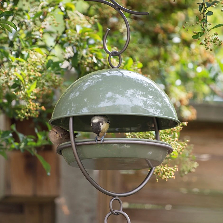 Hanging Bird Feeding Dome - Crocus Green 1 Hanging Bird Feeding Dome - Crocus Green