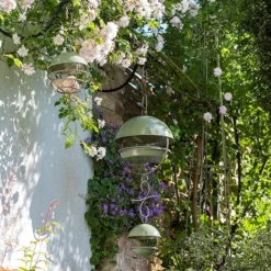 Hanging Bird Feeding Dome - Crocus Green 14 Hanging Bird Feeding Dome - Crocus Green -Perennials Sales pr2000040693 card7 lg