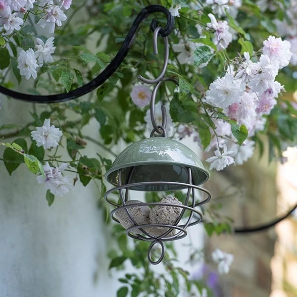 Satellite Fat Ball Feeder - Crocus Green 4 Satellite Fat Ball Feeder - Crocus Green - Image 4