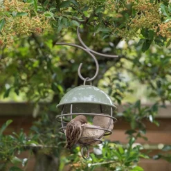 Satellite Fat Ball Feeder - Crocus Green 9 Satellite Fat Ball Feeder - Crocus Green -Perennials Sales pr2000040694 card5 lg