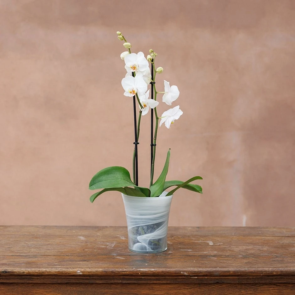 Recycled Glass Flared Orchid Pot - White 1 Recycled Glass Flared Orchid Pot - White