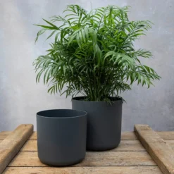Straight Edged Plant Pot - Black