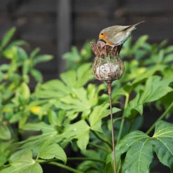 Poppy Seed Head Fat Snax Feeder - Rust 7 Poppy Seed Head Fat Snax Feeder - Rust -Perennials Sales pr2000041714 card4 lg