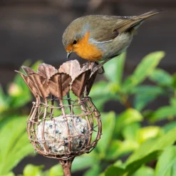 Poppy Seed Head Fat Snax Feeder - Aged Zinc 6 Poppy Seed Head Fat Snax Feeder - Aged Zinc -Perennials Sales pr2000041715 card3 lg