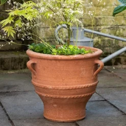 Thrapsano Terracotta Pot 5 Thrapsano Terracotta Pot -Perennials Sales pr2000042800 card3 lg