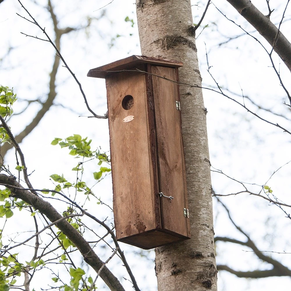 Woodpecker House 3 Woodpecker House - Image 3