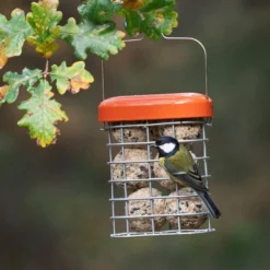 Premium Suet Feeder