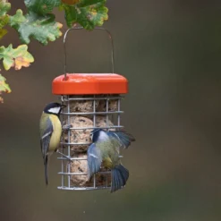 Premium Suet Feeder 6 Premium Suet Feeder -Perennials Sales pr2000044042 card3 lg