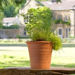 Terracotta Ribbed Flowerpot Large