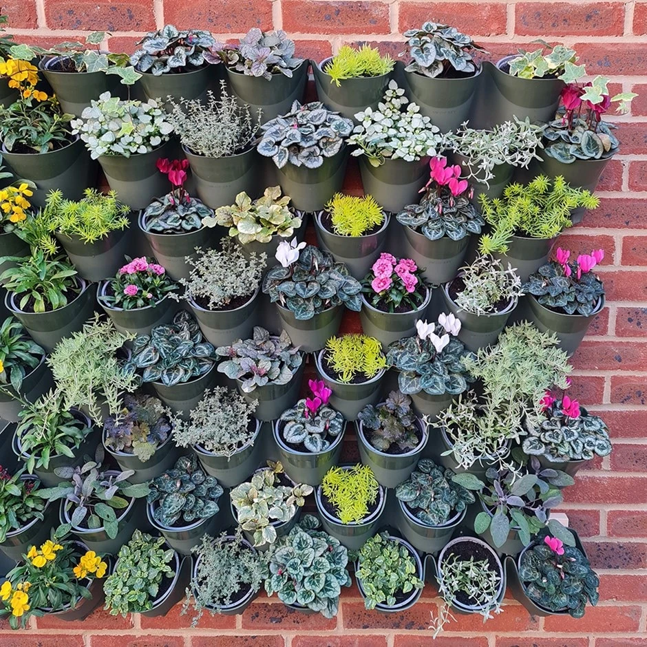 Living Wall Vertical Planting Set - 2.3m2 1 Living Wall Vertical Planting Set - 2.3m2