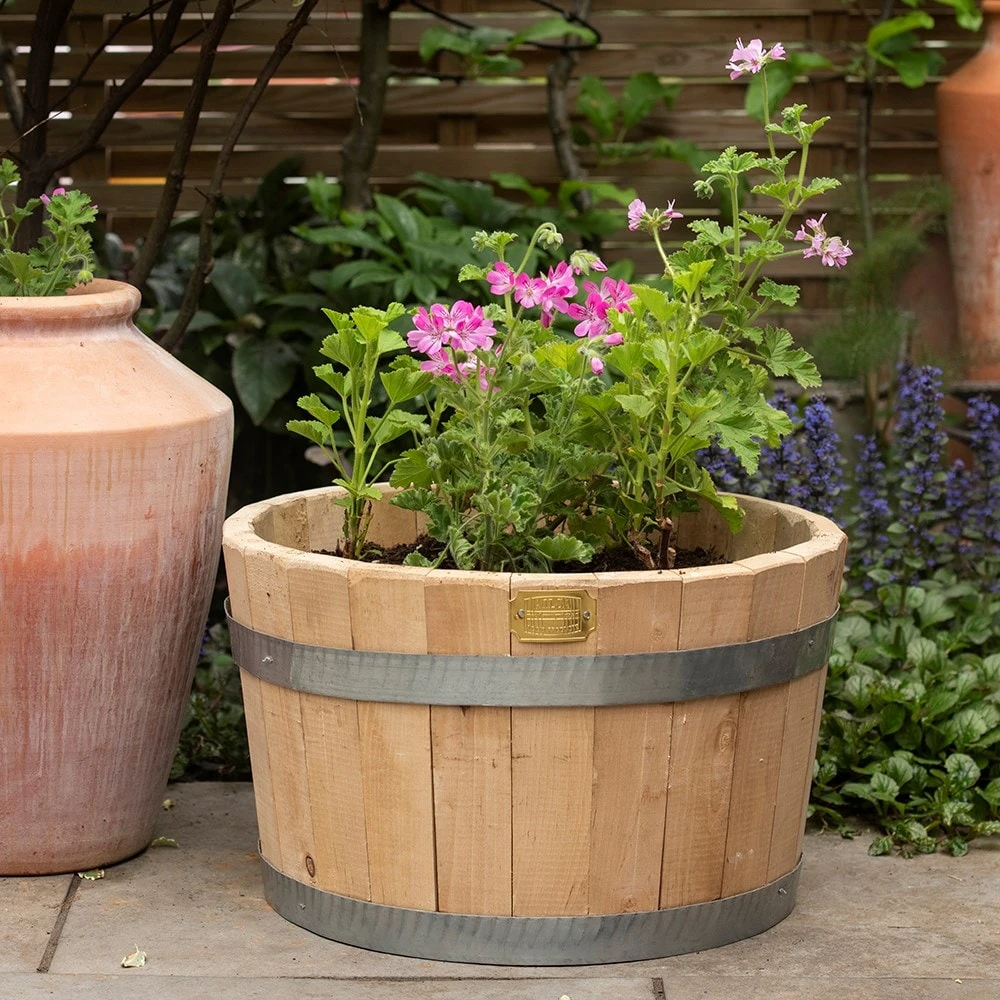 Hardwood Barrel Planter 2 Hardwood Barrel Planter - Image 2
