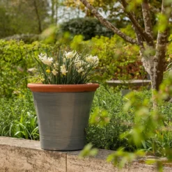 Grey Kitchen Planter -Perennials Sales pr2000044988 card8 lg