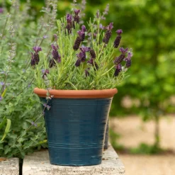 Dark Teal Kitchen Planter -Perennials Sales pr2000044992 card7 lg