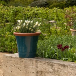 Dark Teal Kitchen Planter -Perennials Sales pr2000044992 card8 lg