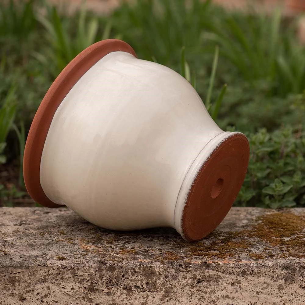 Ivory Bellied Planter 4 Ivory Bellied Planter - Image 4