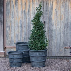 Greystoke Ribbed Planter - Aged Zinc -Perennials Sales pr2000046295 card6 lg