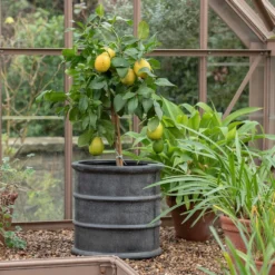 Greystoke Barrel Planter 16 Greystoke Barrel Planter -Perennials Sales pr2000046297 card7 lg