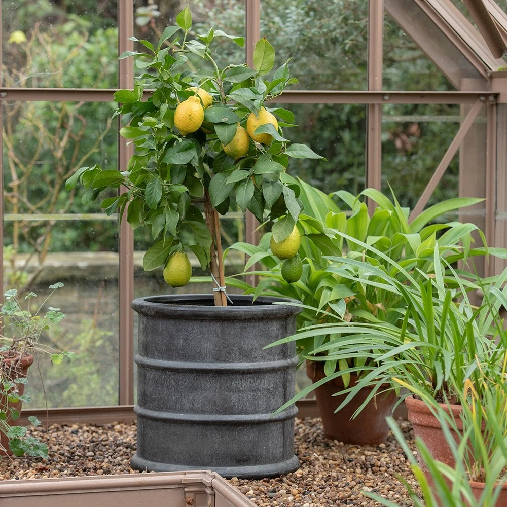 Greystoke Barrel Planter 7 Greystoke Barrel Planter - Image 7