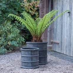 Greystoke Barrel Planter 18 Greystoke Barrel Planter -Perennials Sales pr2000046297 card9 lg