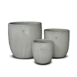 Glazed Ceramic Pot - White 17 Glazed Ceramic Pot - White -Perennials Sales pr2000046300 card9 lg