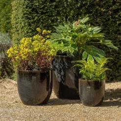 Glazed Ceramic Pot - Misty Black 8 Glazed Ceramic Pot - Misty Black -Perennials Sales pr2000046301 card3 lg