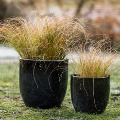 Glazed Ceramic Pot - Misty Black 10 Glazed Ceramic Pot - Misty Black -Perennials Sales pr2000046301 card5 lg