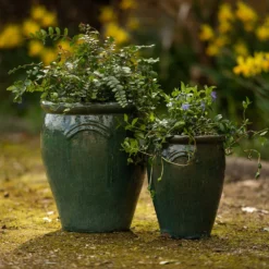 Glazed Terracotta Tulip Pot - Misty Green -Perennials Sales pr2000046304 card4 lg