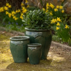 Glazed Terracotta Tulip Pot - Misty Green -Perennials Sales pr2000046304 card6 lg
