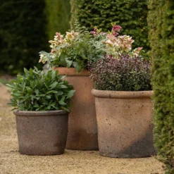 Terracotta Pot - Sandblasted 10 Terracotta Pot - Sandblasted -Perennials Sales pr2000046311 card3 lg