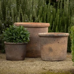 Terracotta Pot - Sandblasted 11 Terracotta Pot - Sandblasted -Perennials Sales pr2000046311 card4 lg