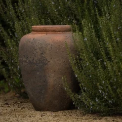 Terracotta Jar - Sandblasted 9 Terracotta Jar - Sandblasted -Perennials Sales pr2000046313 card3 lg