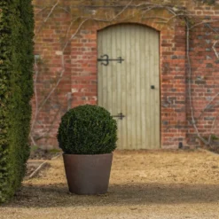 Tapered Terracotta Pot - Sandblasted -Perennials Sales pr2000046314 card6 lg