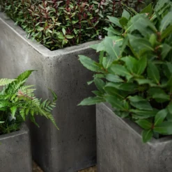 Cement Cube Pot - Waxed 9 Cement Cube Pot - Waxed -Perennials Sales pr2000046317 card3 lg