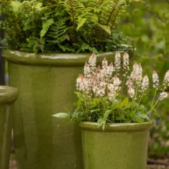 Glazed Ceramic Pot - Green -Perennials Sales pr2000046324 card4 lg