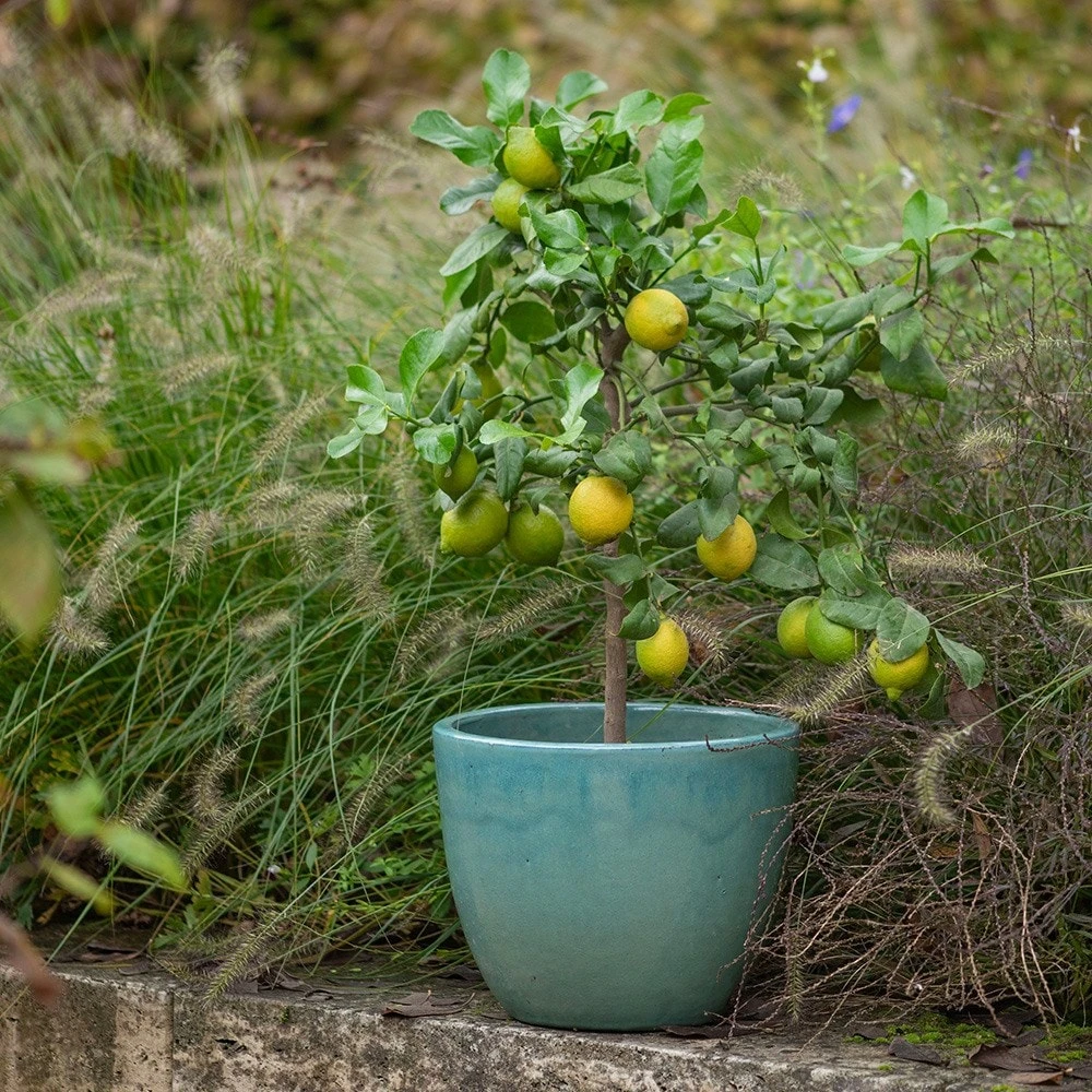 Glazed Terracotta Pot - Reef Blue 2 Glazed Terracotta Pot - Reef Blue - Image 2