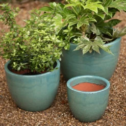 Glazed Terracotta Pot - Reef Blue 9 Glazed Terracotta Pot - Reef Blue -Perennials Sales pr2000046329 card4 lg